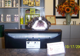 Bijou the Receptionist